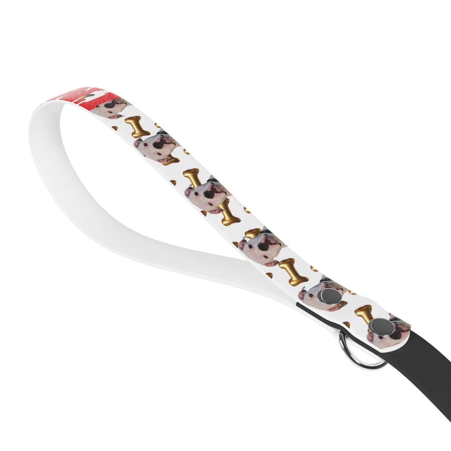 THE CAPONE LEASH