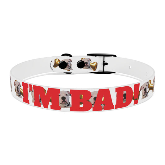 Dog Collar